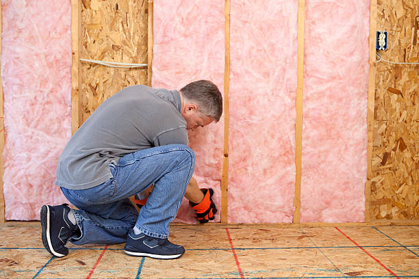 Best Residential Insulation in Port Edwards, WI