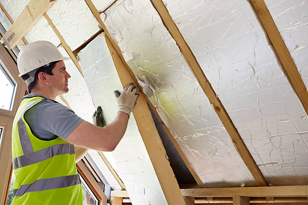 Best Insulation Maintenance and Repair in Port Edwards, WI