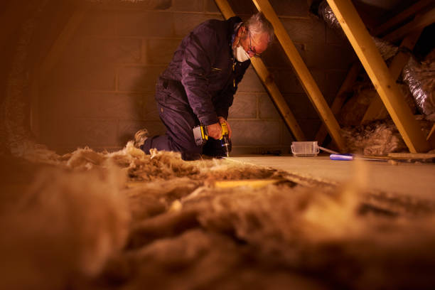 Best Insulation Installation Services in Port Edwards, WI